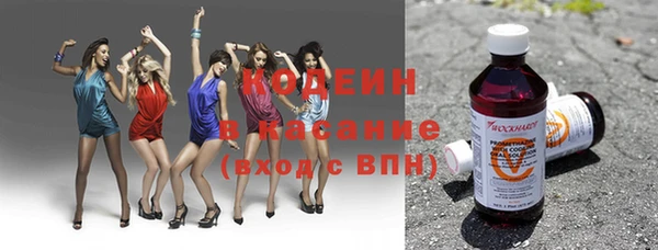 соль ск Заводоуковск