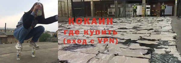 соль ск Заводоуковск