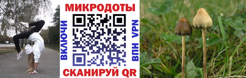 Псилоцибиновые грибы Cubensis  Иланский 